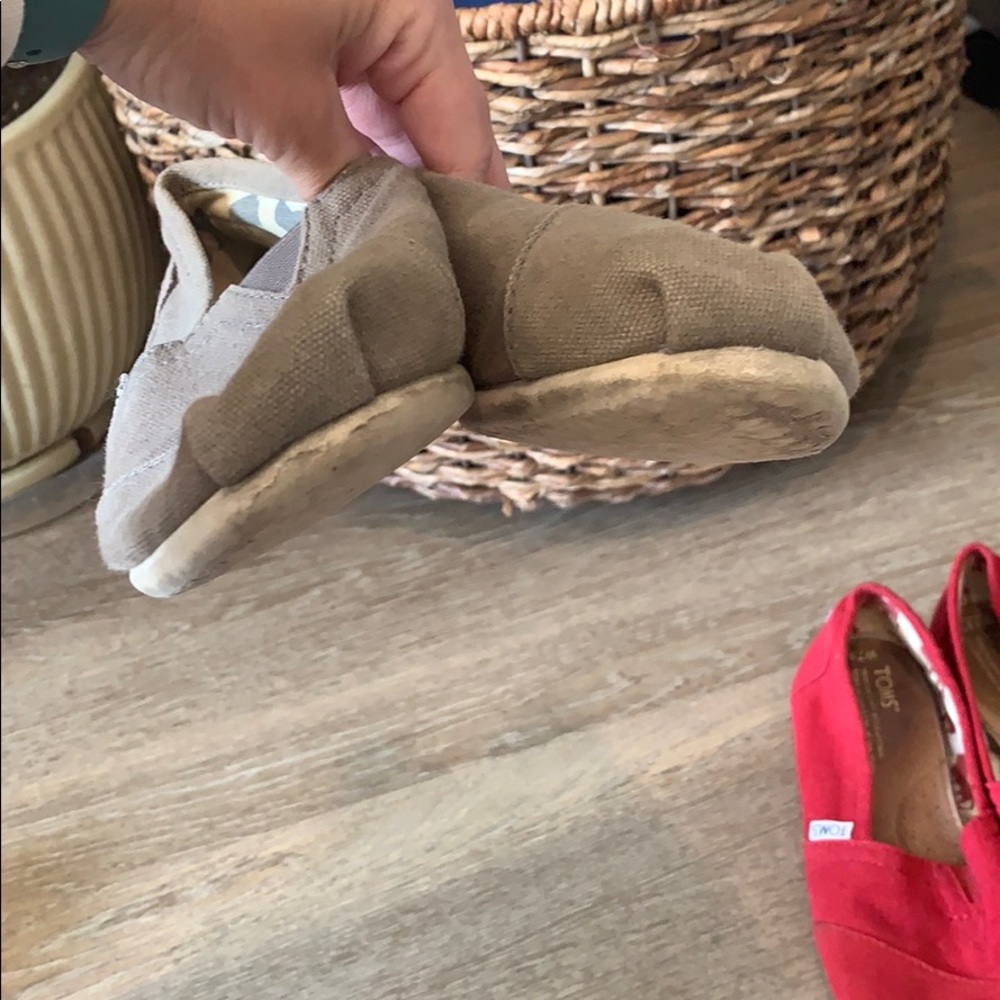 Toms - Picture 7 of 7